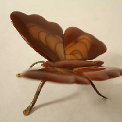 Bruneau Butterfly