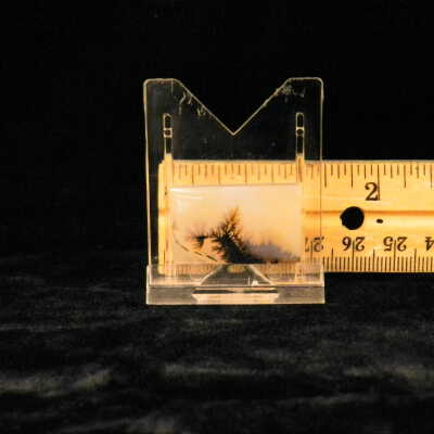 Dendritic Agate