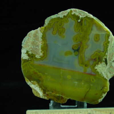 Thunderegg