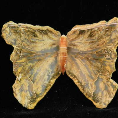 Quartz var. Agate