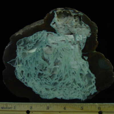 Thunderegg