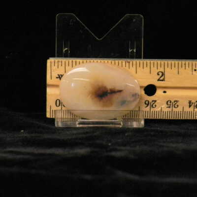 Dendritic Agate