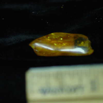 Amber