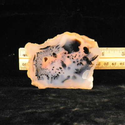 Dendritic Agate