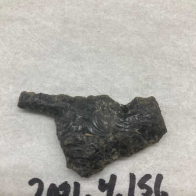 Projectile Point Fragment