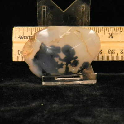 Dendritic Agate