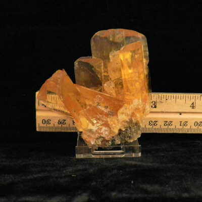 Duckbill Selenite