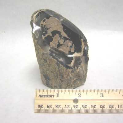Limb Cast