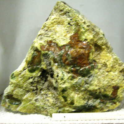 Petrified Wood