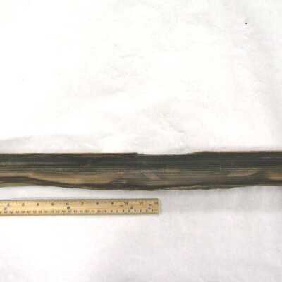 Limb Cast