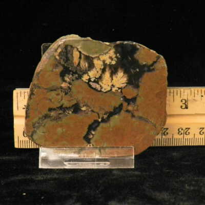 Plume Agate