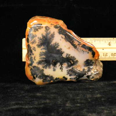 Dendritic Agate
