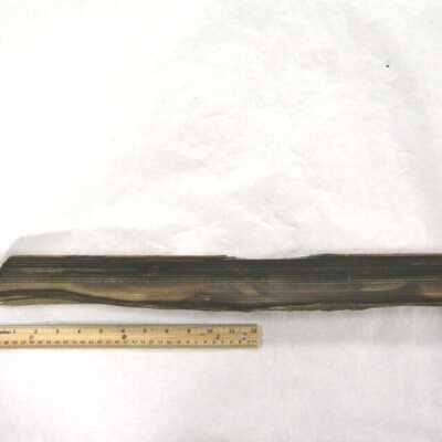 Limb Cast