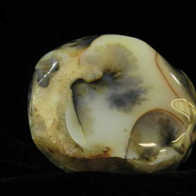 Quartz var. Agate