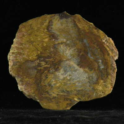 Quartz var. Agate