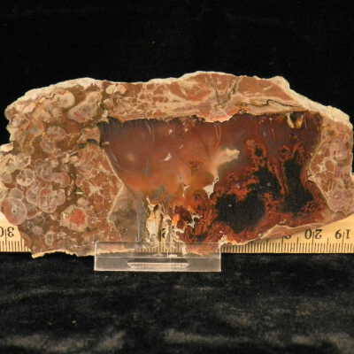 Plume Agate