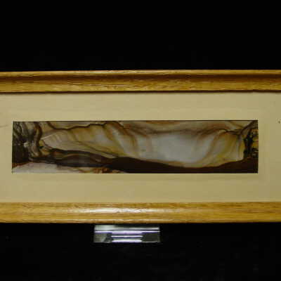 Jasper in Frame