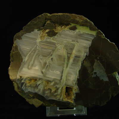 Thunderegg