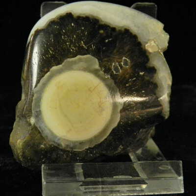 Quartz var. Agate
