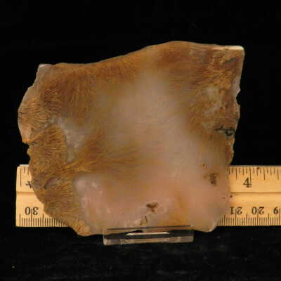 Quartz var. Agate (sagenite)