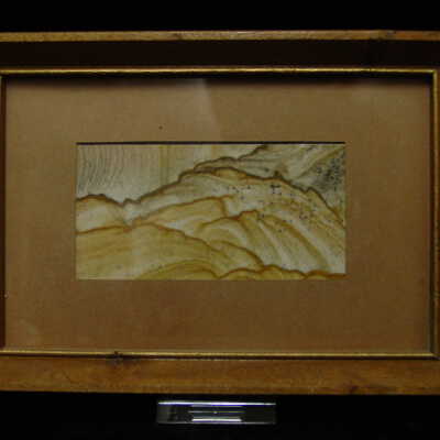 Jasper in Frame