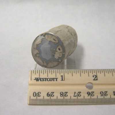 Limb Cast