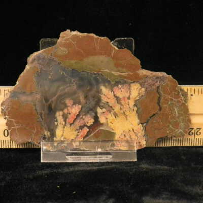 Plume Agate