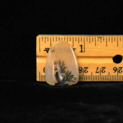 Dendritic Agate