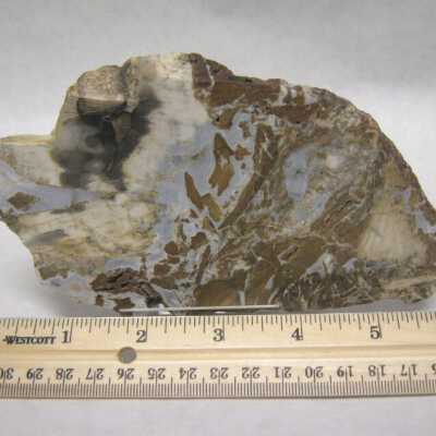 Limb Cast