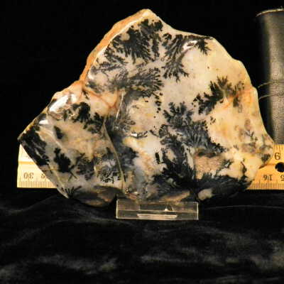 Dendritic Agate
