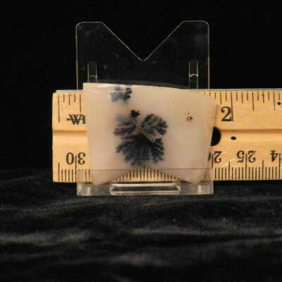 Dendritic Agate