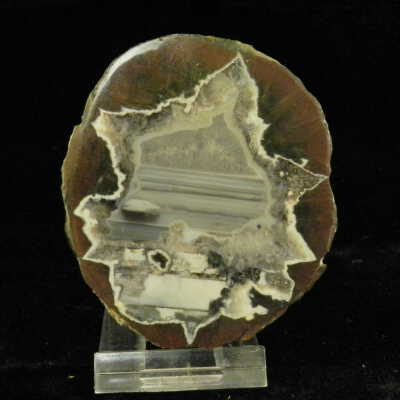 Thunderegg