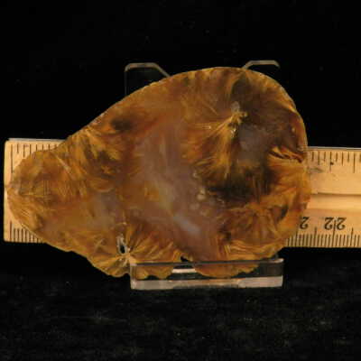 Quartz var. Agate (sagenite)