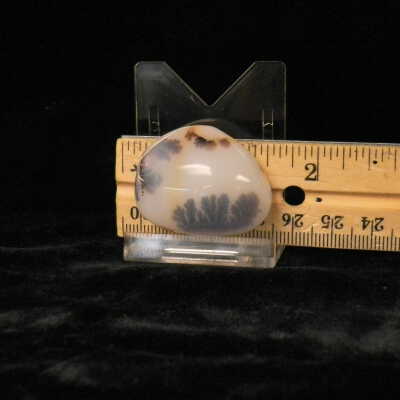 Dendritic Agate