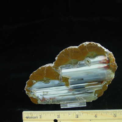 Thunderegg