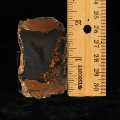 Plume Agate