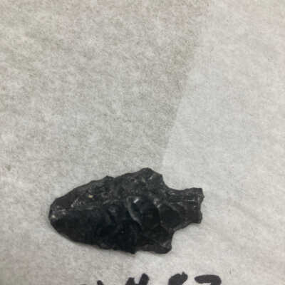 Projectile Point