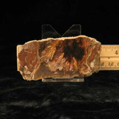 Plume Agate