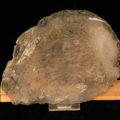 Quartz var. Agate (sagenite)