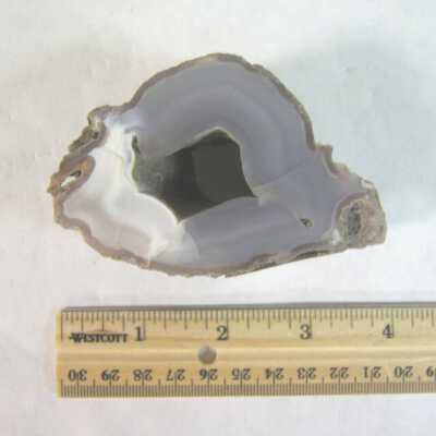 Limb Cast