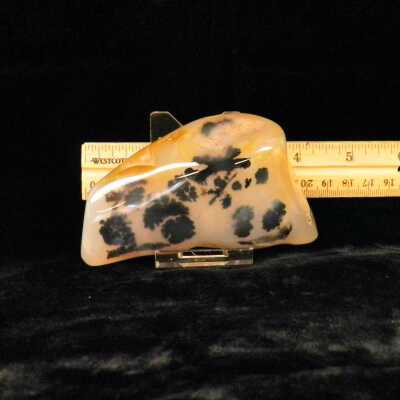 Dendritic Agate