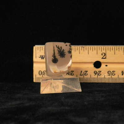 Dendritic Agate