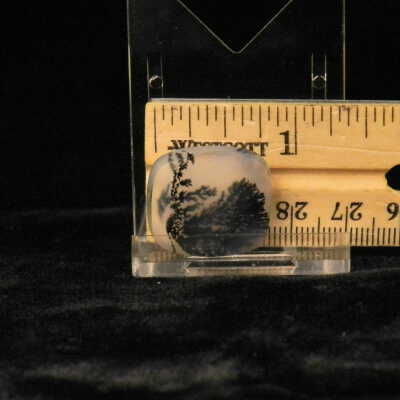 Dendritic Agate