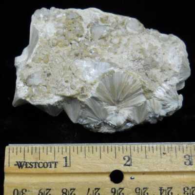 Pectolite