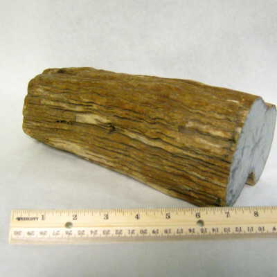Birch
