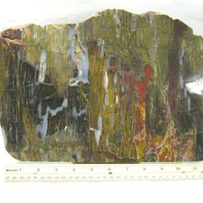 Limb Cast