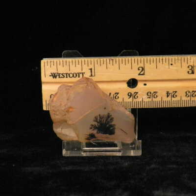 Dendritic Agate