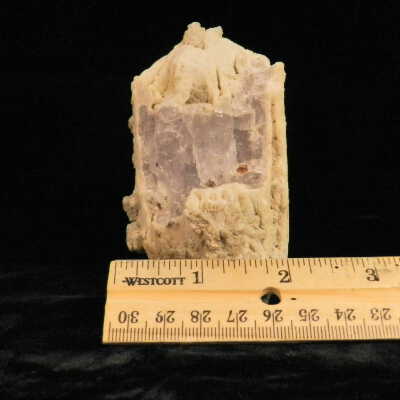 Scapolite