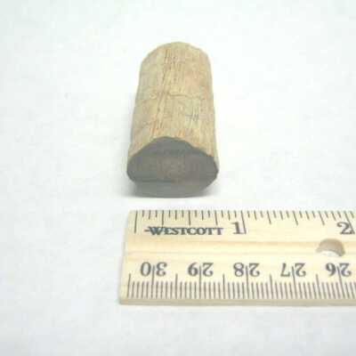 Limb Cast