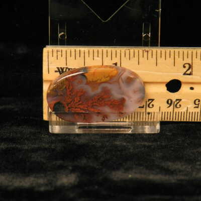 Plume Agate